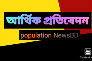 আর্থিক প্রতিবেদন