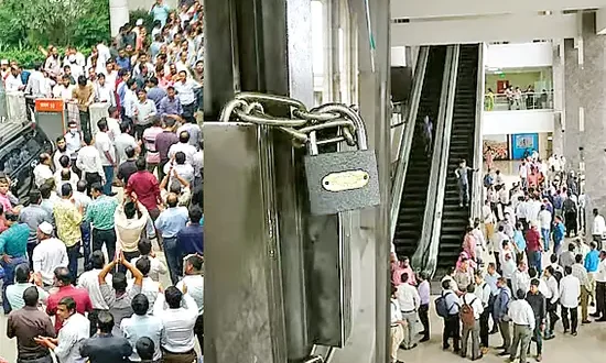 চাকরি আইন